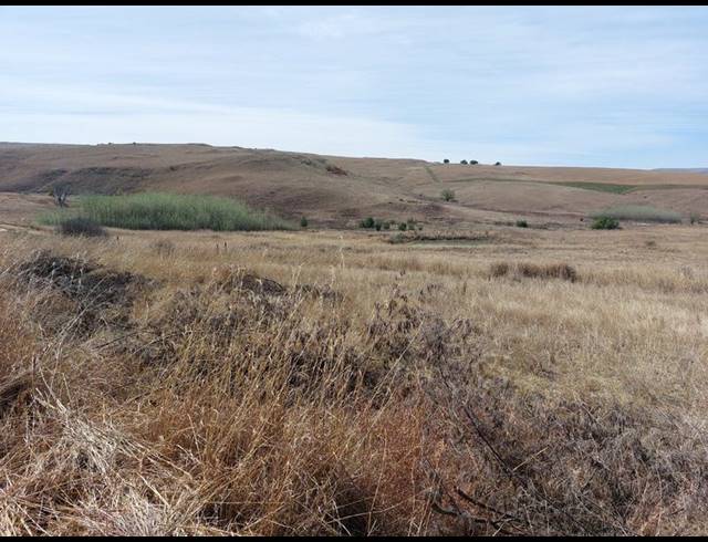 LAND FOR SALE IN MACHADODORP RURAL